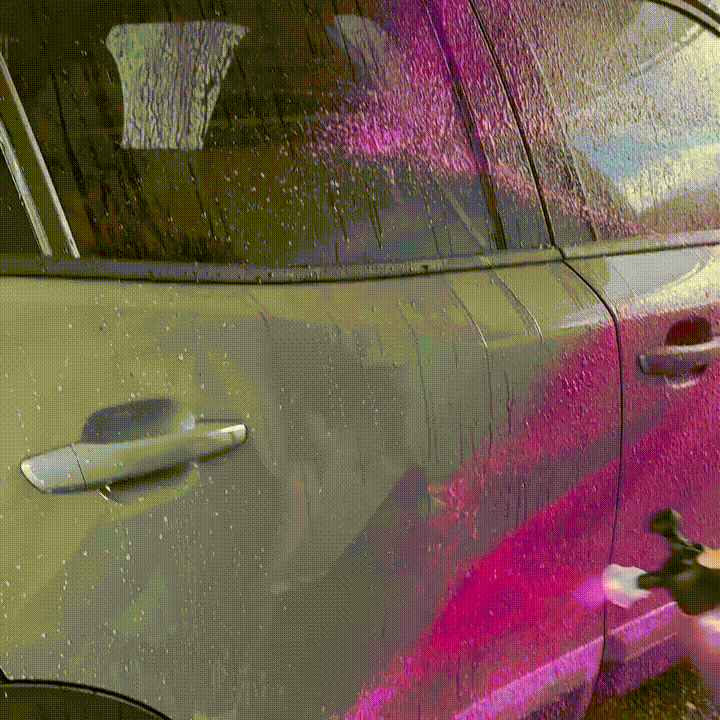 ANGEBOT | PURPLE REVOLUTION