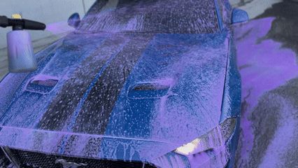 ANGEBOT | PURPLE REVOLUTION